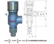 安全閥A21H-16C，廣州鑄鋼螺紋安全閥