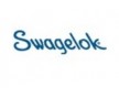 Swagelok閥門 swagelok球閥