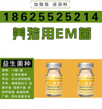 em益生菌在養(yǎng)豬中的作用好處你了解多少